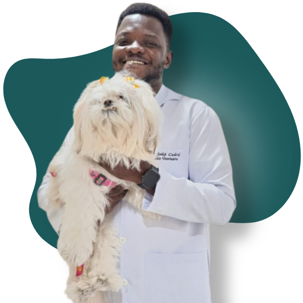 Conheça clinica Vetpaixão