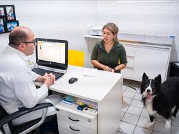 2 - Clínica Veterinária em Recife – Cuidado Completo para Seu Pet na VetPaixão 2 clinica veterinaria em Recife 1 1