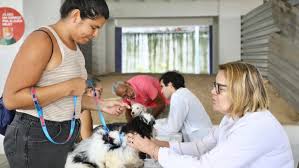 vacinacao veterinaria em Recife